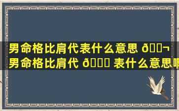 男命格比肩代表什么意思 🐬 （男命格比肩代 🍁 表什么意思啊）